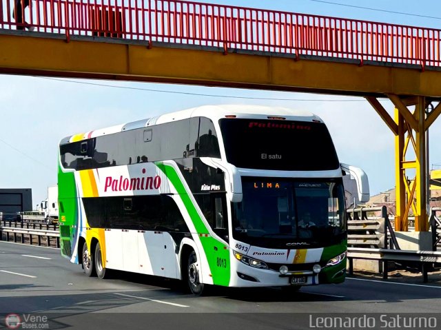 Expreso Internacional Palomino 8013 por Leonardo Saturno