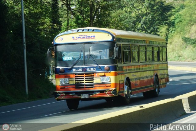 Transporte Unido 033 por Pablo Acevedo