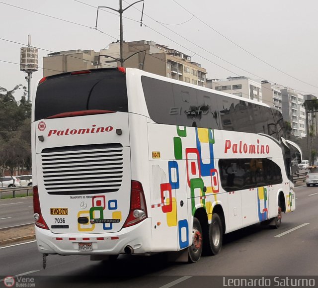 Expreso Internacional Palomino 7036 por Leonardo Saturno