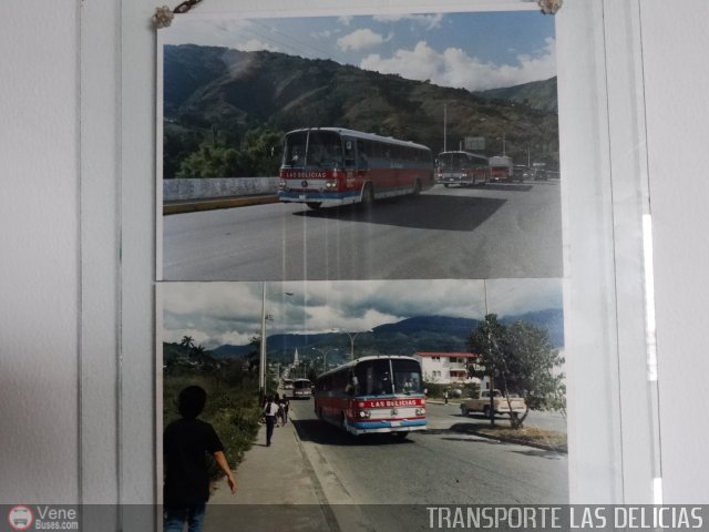 Transporte Las Delicias C.A. F-1 por Pablo Acevedo