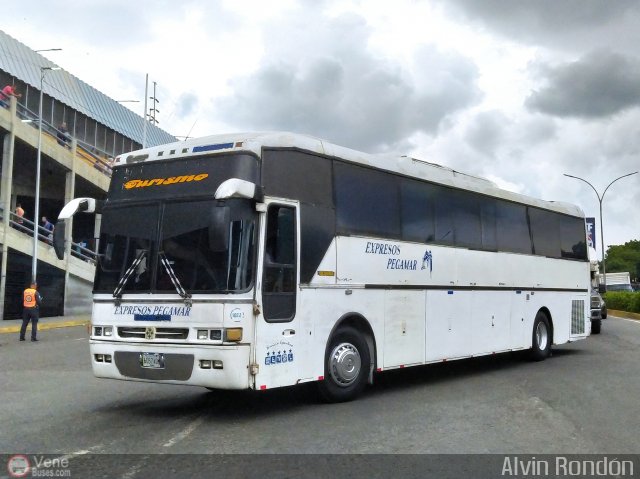 Expresos Pegamar 1022 por Alvin Rond�n