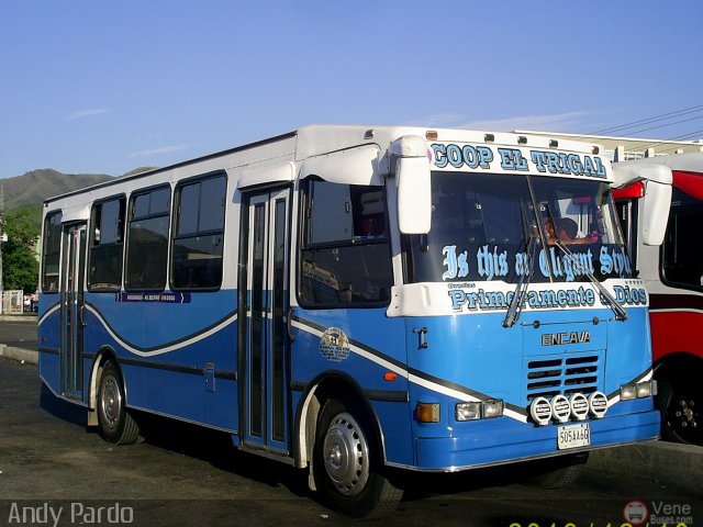 CA - Asociaci�n Coop. El Trigal R.L. 11 por Andy Pardo