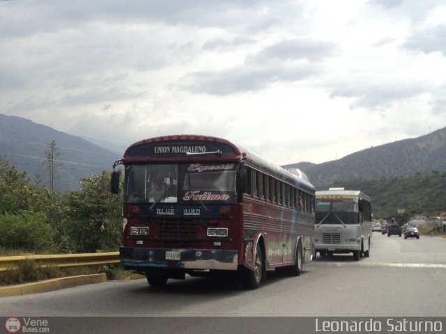 Uni�n Magdaleno A.C. 75 por Leonardo Saturno