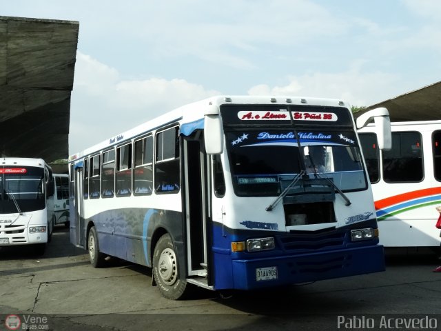 L�nea El Pi�al A.C. 33 por Pablo Acevedo