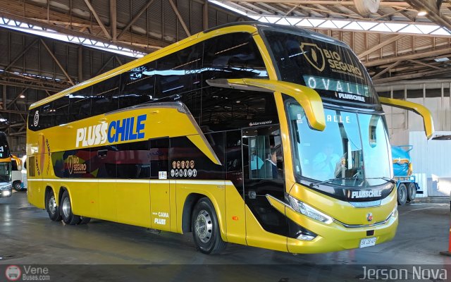 Buses Pluss Chile 49 por Jerson Nova