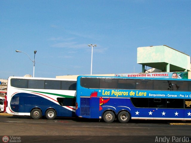 Garajes Paradas y Terminales Puerto-La-Cruz por Andy Pardo