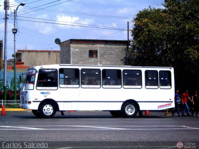 Unin de Conductores Unidos S.C. 113-A por Carlos Salcedo