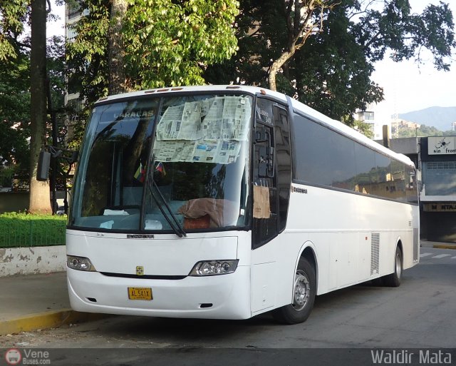 Particular o Desconocido 0378 por Waldir Mata