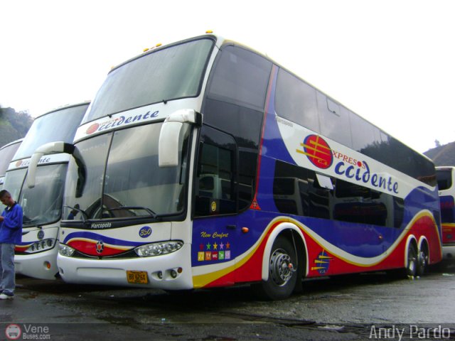 Expresos Occidente 350 por Andy Pardo