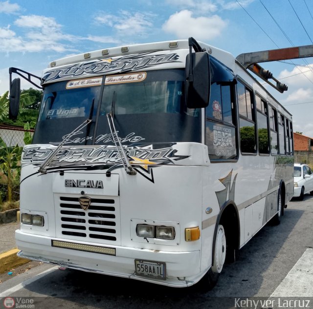 Lnea Los Andes S.C. 010 por Kleyzer Caldern