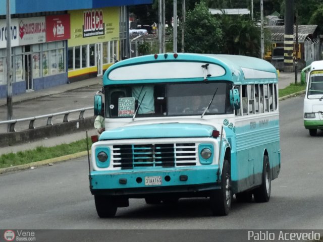 Expresos Bolivarianos 28 por Pablo Acevedo
