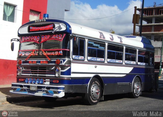 A.C. Transporte Independiente 03 por Waldir Mata