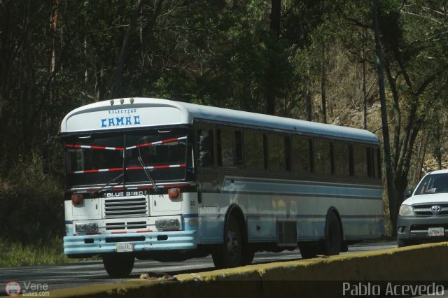 Transporte Colectivo Camag 10 por Pablo Acevedo