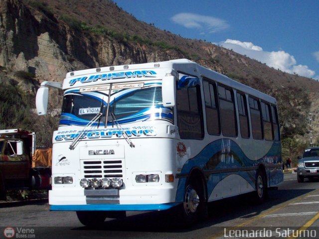 L�nea Los Andes S.C. 013 por Leonardo Saturno