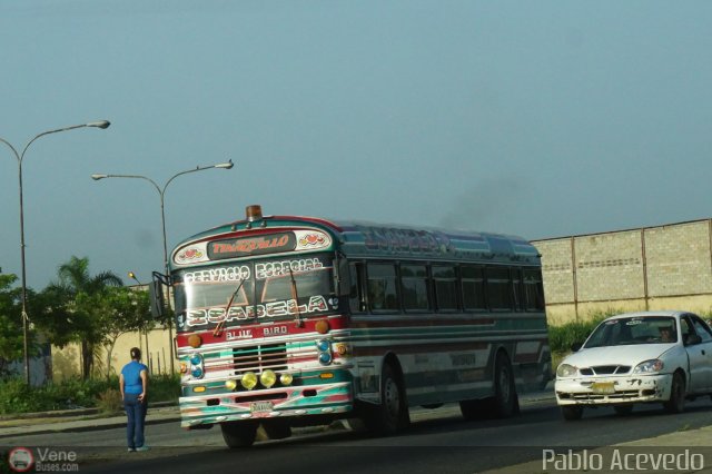 Autobuses de Tinaquillo 03 por Pablo Acevedo