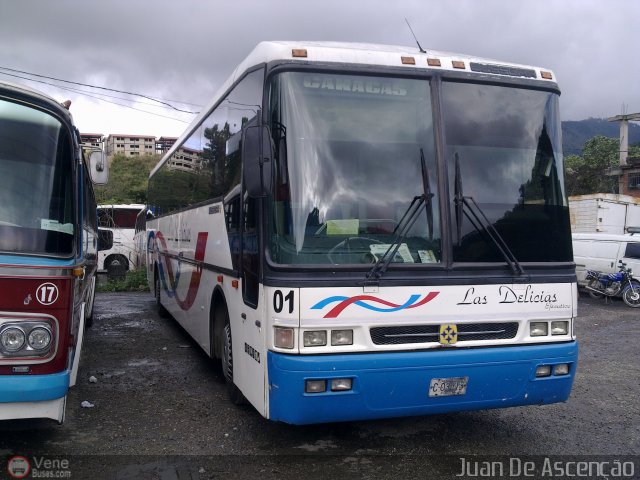 Transporte Las Delicias C.A. E-01 por Juan De Asceno