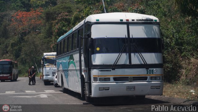 Colectivos Sol de Oriente 101 por Pablo Acevedo