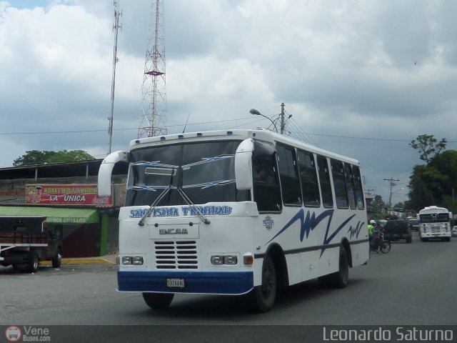 S.C. L�nea Transporte Expresos Del Chama 147 por Leonardo Saturno