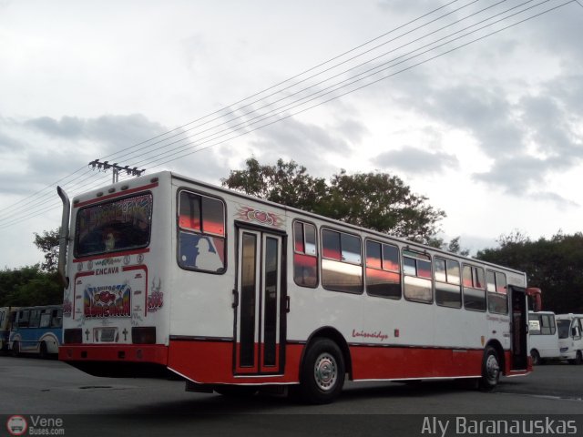 Transporte Guacara 2006 por Aly Baranauskas