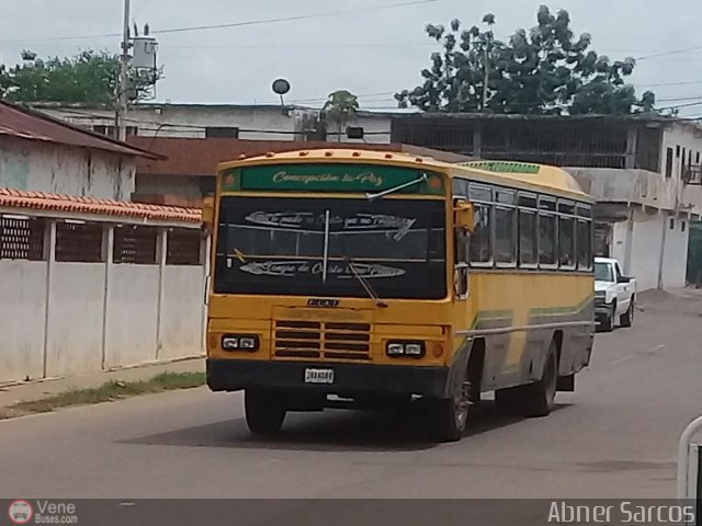 ZU - Colectivos Concepcin 045 por Abner Sarcos