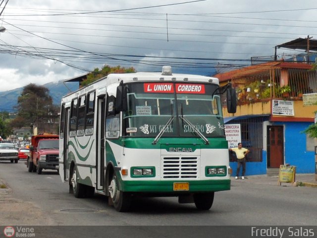 Lnea Unin Cordero 049 por Freddy Salas