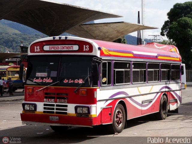 Expresos Continente C-13 por Pablo Acevedo