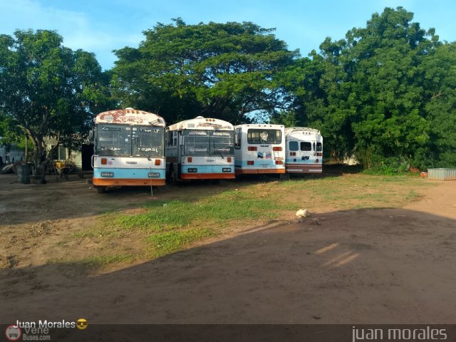 Garajes Paradas y Terminales Maracaibo por Abner Sarcos