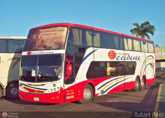 Expresos Occidente 437 por Rafael Pino