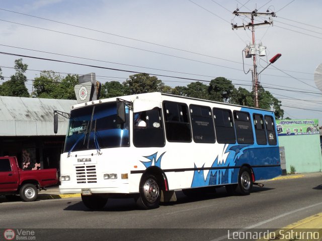 Lnea Los Andes S.C. 039 por Leonardo Saturno