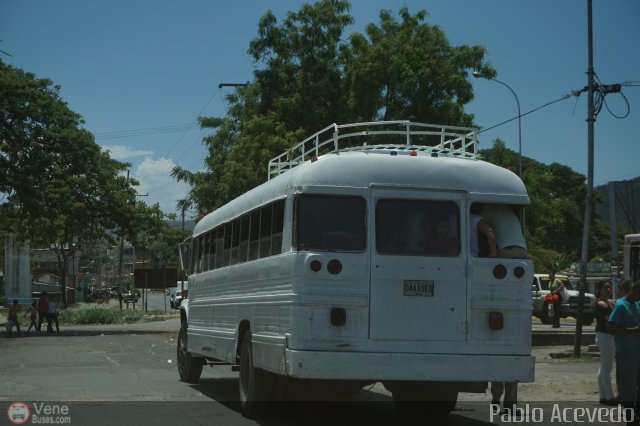 Transporte Colectivo Palo Negro 96 por Pablo Acevedo