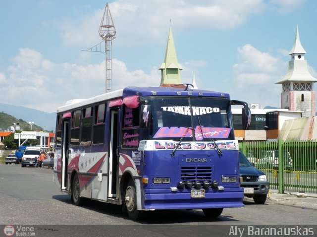 A.C. de Transporte Sol de Tamanaco 44 por Aly Baranauskas