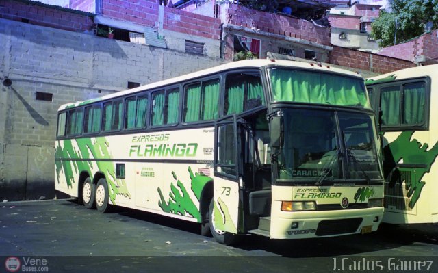 Expresos Flamingo 73 por Pablo Acevedo