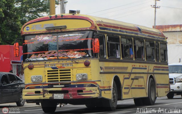 CA - Asoc. Coop. de Transporte La Arenosa R.L. 032 por Andrs Ascanio