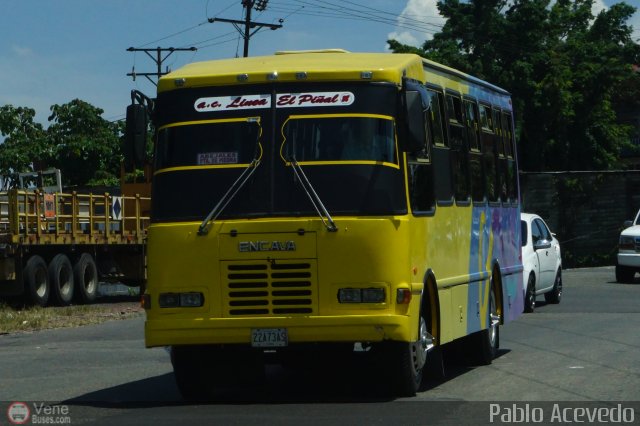 L�nea El Pi�al A.C. 38 por Pablo Acevedo