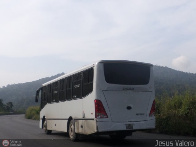 Transporte Clavellino 171 por Jess Valero