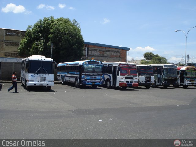 Garajes Paradas y Terminales Maracay por Cesar Ornelas