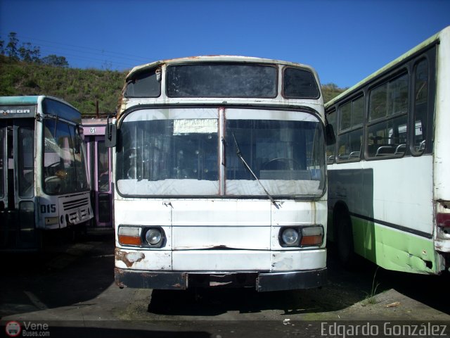 Particular SN-L001 por Edgardo Gonzlez