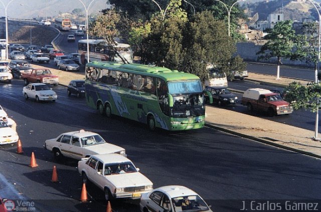 Expresos Flamingo 87 por J. Carlos G�mez