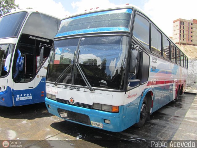 Expresos San Cristóbal 080 por Pablo Acevedo