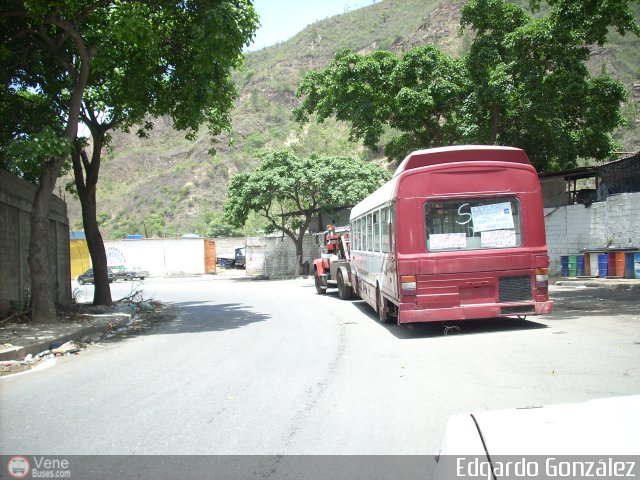 En Chiveras Abandonados Recuperacin 15 por Edgardo Gonzlez