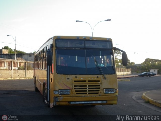 Particular o Desconocido 0264 por Aly Baranauskas