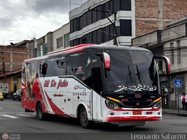 Particular o Desconocido 014 por Leonardo Saturno