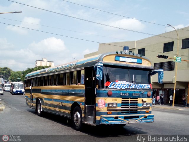 CA - Unin Campo Carabobo 950 por Aly Baranauskas