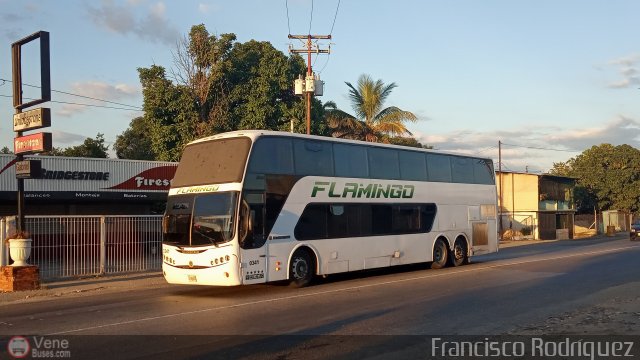 Expresos Flamingo 0341 por Francisco Rodr�guez