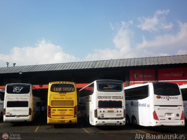 Garajes Paradas y Terminales Caracas por Aly Baranauskas