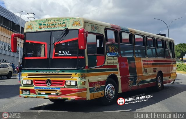 Cooperativa Canaima 50 por Daniel Fernndez