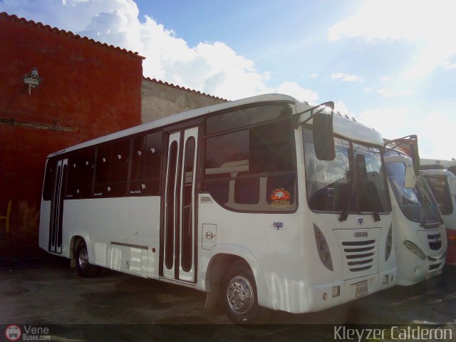 Lnea Los Andes S.C. 003 por Kleyzer Caldern