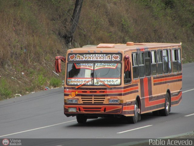 Colectivos Altagracia 20 por Pablo Acevedo