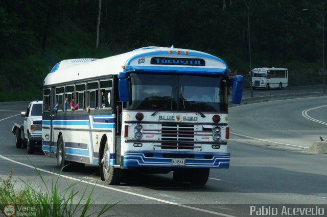 CA - Transporte Tocuyito 33 por Pablo Acevedo