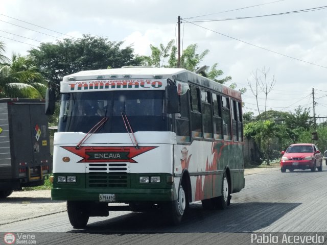 A.C. de Transporte Sol de Tamanaco 06 por Pablo Acevedo